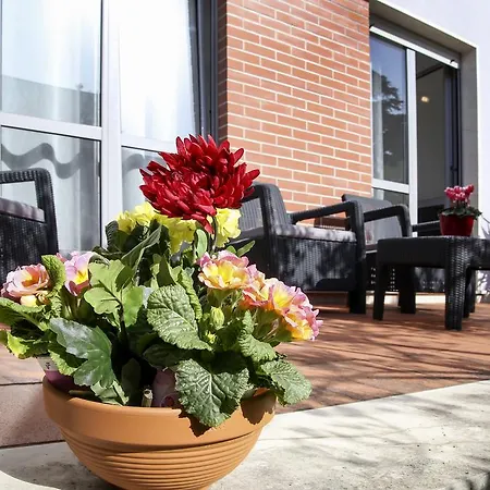 Apartman Lavanda Dream