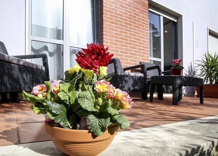 Apartamento Lavanda Dream